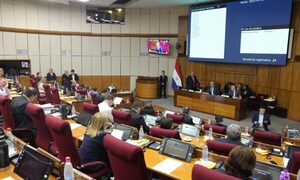 Ausencia de senadores retrasa inicio de actividades en plenaria
