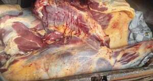 Diario HOY | Incautan más de 100 kilos de carne que eran transportados en la cajuela de un vehículo