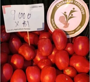 Precio de tomates por las nubes: dónde encontrar mejores ofertas - Nacionales - ABC Color