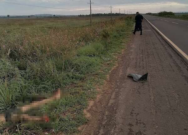 Investigan el hallazgo de un cadáver al costado de la ruta PY08 - Policiales - ABC Color