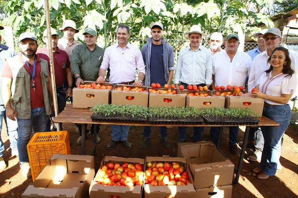 Apoyo a la agricultura familiar busca cambiar producción de subsistencia a una de comercialización y exportación - .::Agencia IP::.