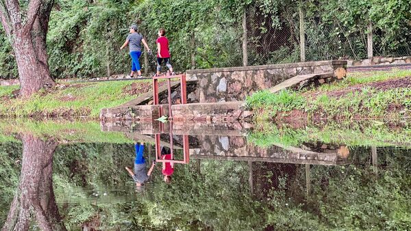 El parque Ñu Guasú implementa mejoras para enriquecer la experiencia de visitantes - .::Agencia IP::.