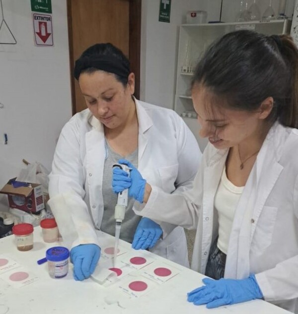 Investigadores de la UNA utilizan Inteligencia Artificial para monitorear la calidad del agua - .::Agencia IP::.
