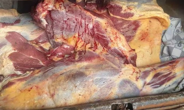 Incautan más de 100 kilos de carne transportados de forma irregular en Itapúa - OviedoPress