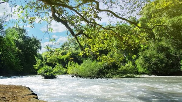 Reactivan comisión para preservar el arroyo Capiibary