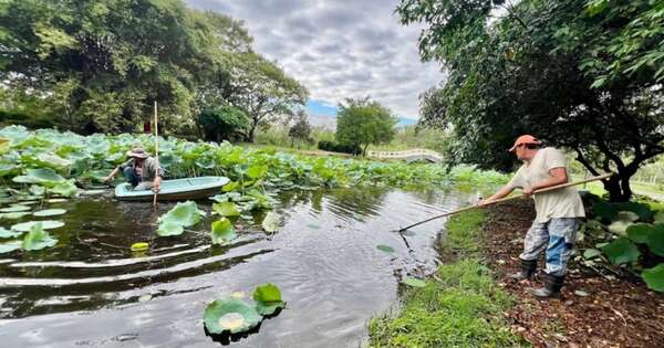 La Nación / Siguen los trabajos para hermosear todo el parque