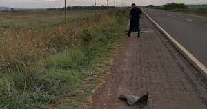 Diario HOY | Agricultor murió atropellado sobre la Ruta PY08: autor se dio a la fuga