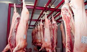 Productores porcinos critican cambio de menú: “Es un retroceso” – Prensa 5