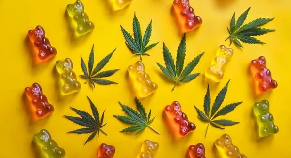 CDE: niñas se intoxicaron tras ingerir “gomitas” con cannabis
