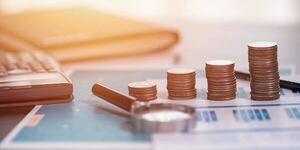 El injusto de fraude de subvenciones | Columnas | 5Días