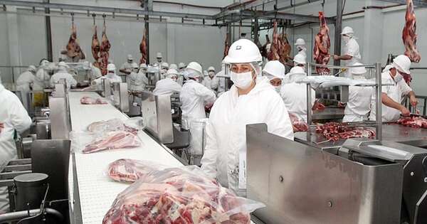 La Nación / Paraguay espera concretar envío de carne ovina a Israel antes de Semana Santa