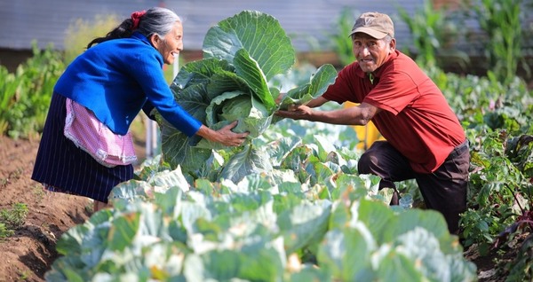 CAF invertirá USD 8.500 millones hasta 2030 para impulsar la prosperidad agropecuaria en América Latina y el Caribe