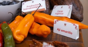Exportadores Peruanos buscan crear alianzas estratégicas con empresas paraguayas