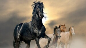 Los caballos, los grandes atletas de la naturaleza gracias a una mutación genética
