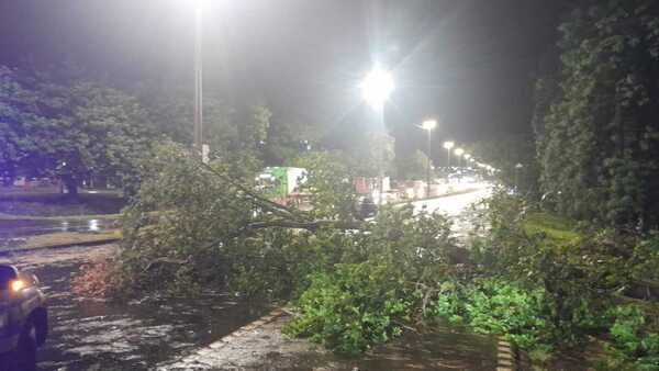 Feroz tormenta con granizos y caída de árboles afecta a Alto Paraná y Canindeyú