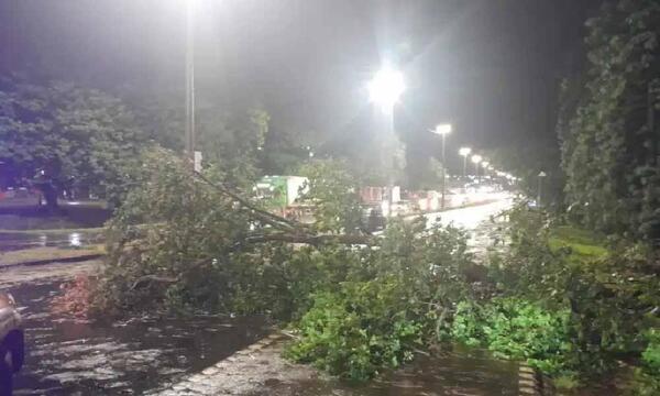 Feroz tormenta con granizos y caída de árboles afecta a Alto Paraná y Canindeyú – Prensa 5