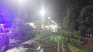 Alto Paraná: Temporal dejó miles de usuarios sin electricidad y viviendas destechadas - ADN Digital