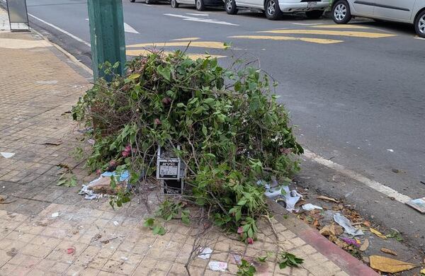 Acumulación de basura en vereda capitalina - Crónicas Ciudadanas - ABC Color