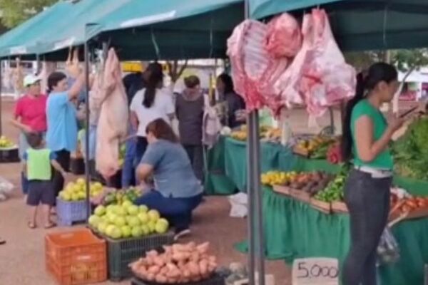 Suben los precios de frutas y verduras por escasez y factores climáticos - SNT