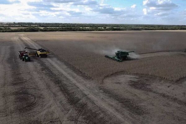 Destacan al Gran Chaco de la región como modelo de crecimiento económico sostenible en el agro | Agronegocios | 5Días
