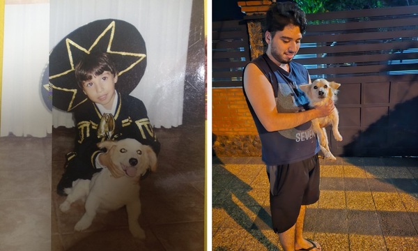 Picher, el perro rescatado en Coronel Oviedo tras un accidente, ya está de vuelta con su familia humana - OviedoPress