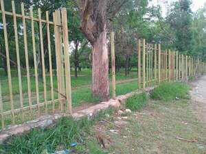 Asaltan con cuchillo a funcionarias del Jardín Botánico de Asunción en su oficina - Policiales - ABC Color
