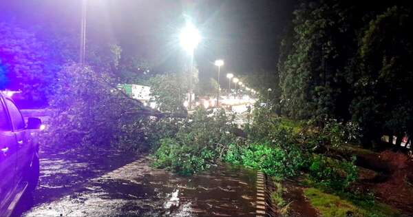 La Nación / Tormenta deja sin energía a unos 4.000 usuarios
