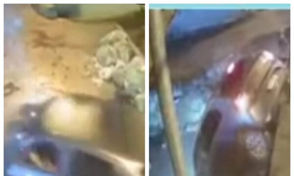 (VIDEO)GPS tumbó de un puente a conductor de Bolt
