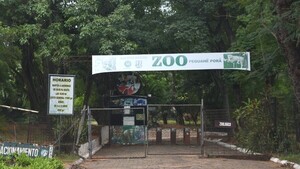 A punta de cuchillo, solitario ladrón asalta a funcionarias en el predio del Jardín Botánico