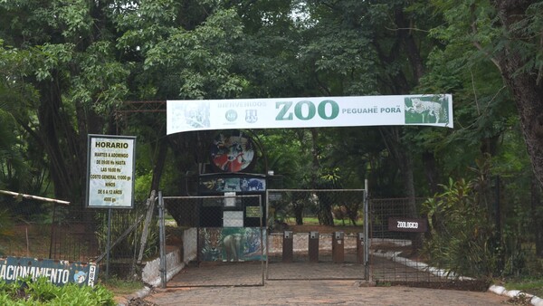 A punta de cuchillo, solitario ladrón asalta a funcionarias en el predio del Jardín Botánico