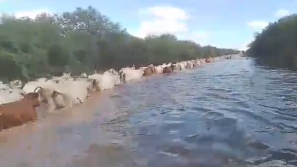 Poblaciones chaqueñas aisladas y caminos intransitables tras lluvias