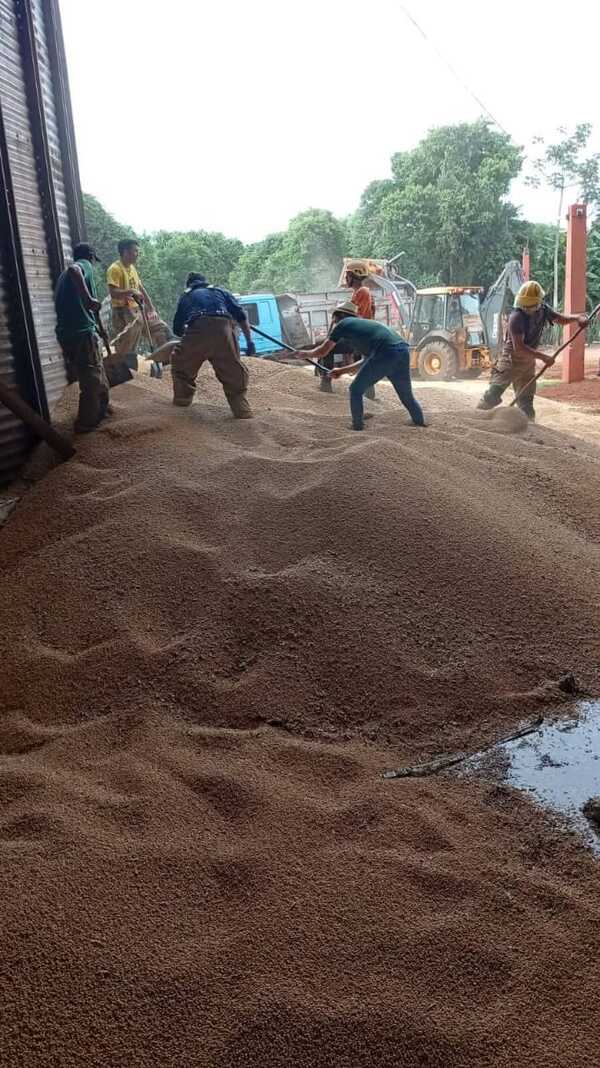 Itapúa: trabajador muere al caer a un silo - 1000 Noticias