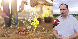 AVANZA LA CREACIÓN DE LA TECNICATURA EN PRODUCCIÓN HORTÍCOLA EN MIRANDA