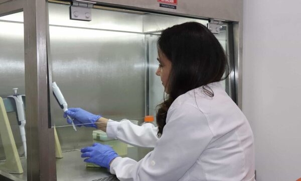Investigación sobre venenos de serpientes abre paso a tratamientos contra enfermedades