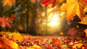 Otoño: la estación de los cuidados primordiales para evitar un invierno con mucha gripe