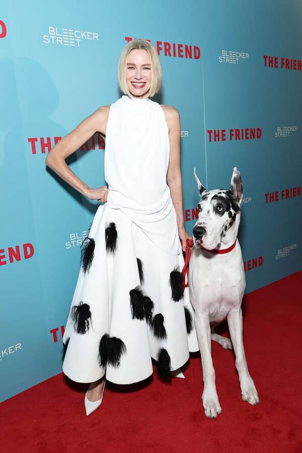 Naomi Watts, muy bien acompañada del gran danés Bing en el estreno de “The Friend” - Gente - ABC Color