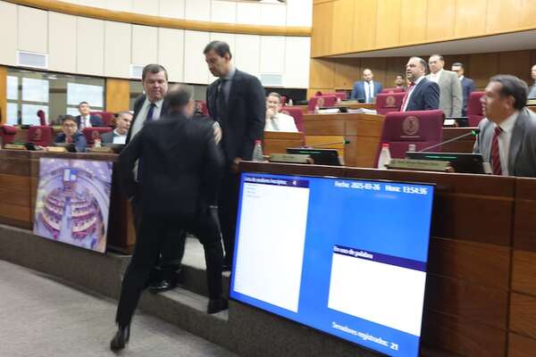Senador dice que la división de la ANR podría lograr una nueva mayoría en Senado - Política - ABC Color