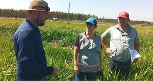 La Nación / Encuesta Nacional Agropecuaria llega al 40 % y ya apunta al Chaco