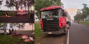 CAMIÓN Y UN AUTO CHOCARON CONTRA ANIMALES VACUNOS EN LA RUTA 01