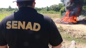 Operativos y controles reducen el tráfico de cocaína desde Paraguay, según la Senad - ADN Digital