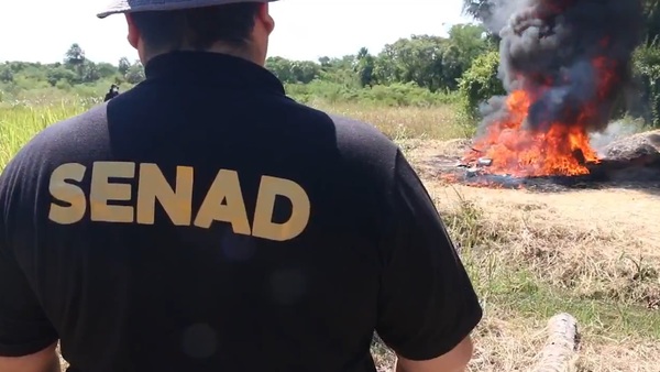 Operativos y controles reducen el tráfico de cocaína desde Paraguay, según la Senad - ADN Digital