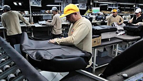 Producción y exportación ilegal de cuero paraguayo a Europa - Portal Digital Cáritas Universidad Católica