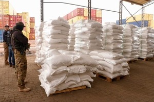 Registran reducción histórica de cocaína incautada en Europa con origen en Paraguay - ADN Digital