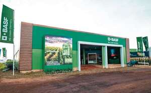 Agricultura sustentable - ABC Campo - ABC Color