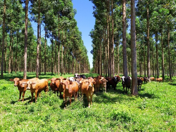 Destacan la digitalización en el agro como clave para optimizar la gestión y garantizar la sostenibilidad