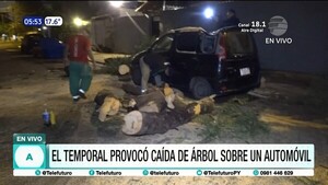 Árbol aplasta vehículo tras fuerte temporal en Asunción