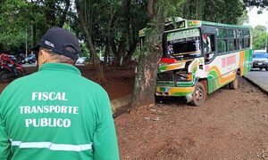 Chatarra quedó sin frenos y chocó árbol en CDE