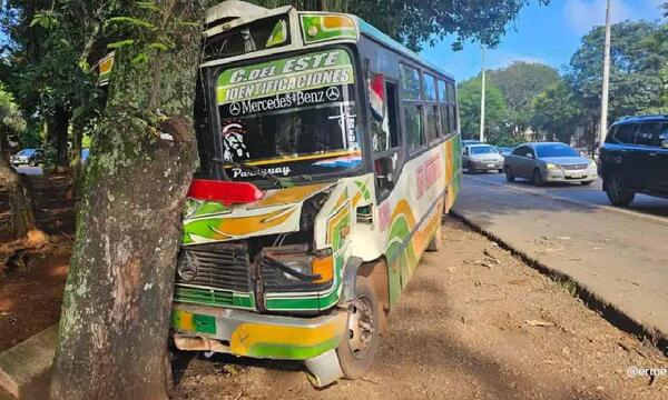 Bus chatarra choca contra un árbol y deja varios heridos en Ciudad del Este – Prensa 5