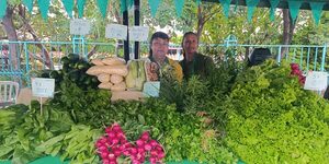 El MAG lanzó el Calendario de Ferias de la Agricultura Familiar para Semana Santa • PARAGUAY TV
