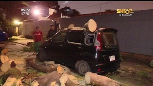 Árbol caído destruye auto en Villa Aurelia tras fuertes lluvias - SNT